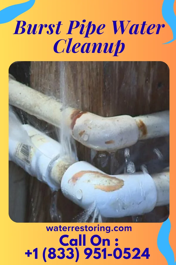 Burst Pipe Water Cleanup in Konterra, MD