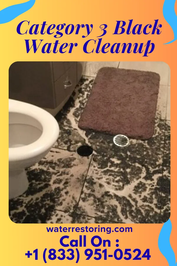 Category 3 Black Water Cleanup in Konterra, MD