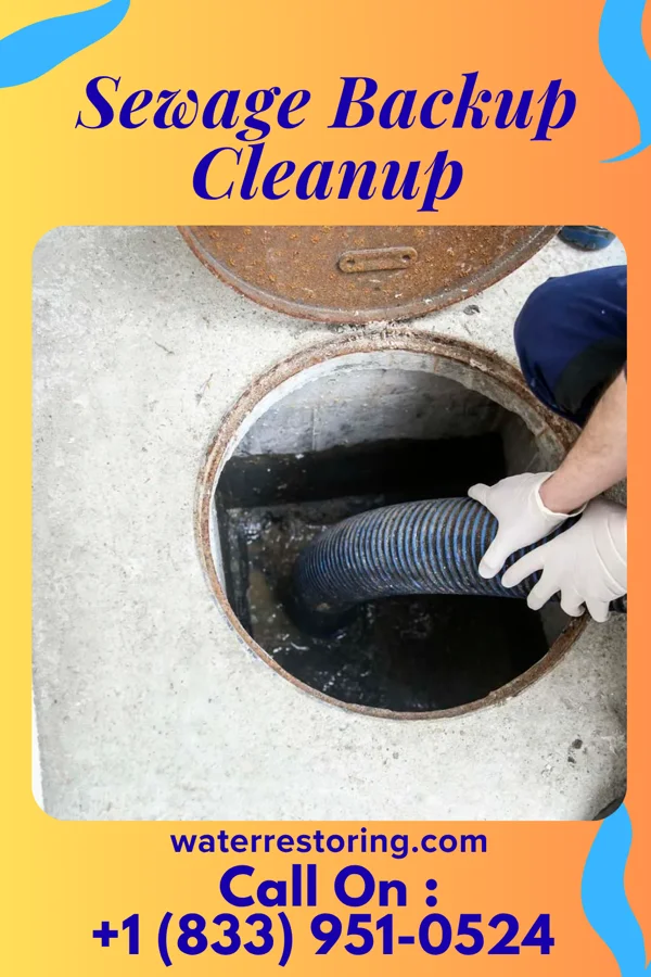 Sewage Backup Cleanup in Konterra, MD