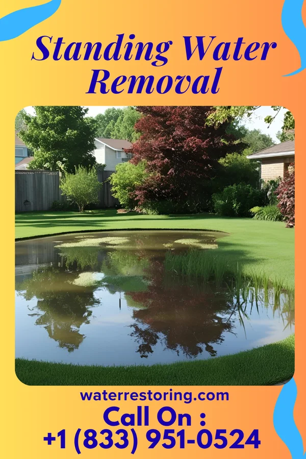 Standing Water Removal in Konterra, MD